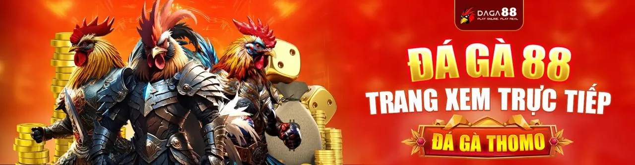 Blog 997bet với các tin tức và ưu đãi hấp dẫn