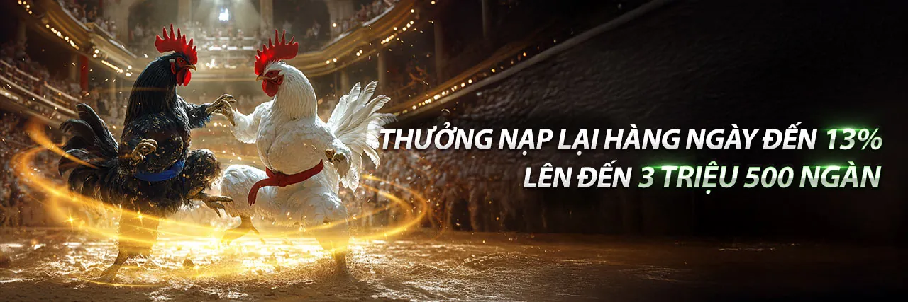 Trải nghiệm cá cược trực tiếp sôi động tại 997bet