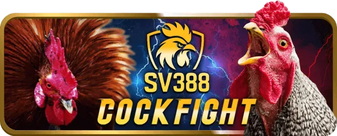 Chương trình VIP độc quyền 997bet